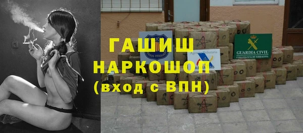 индика Балахна