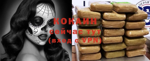 индика Балахна
