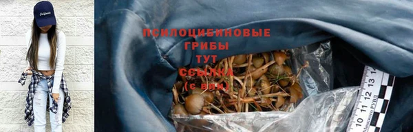 PSILOCYBIN Баксан