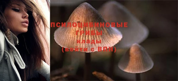 индика Балахна