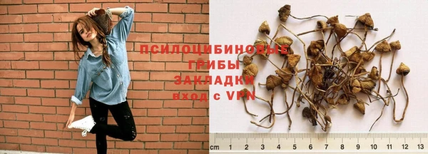 стаф Балабаново
