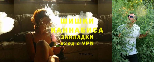 PSILOCYBIN Баксан