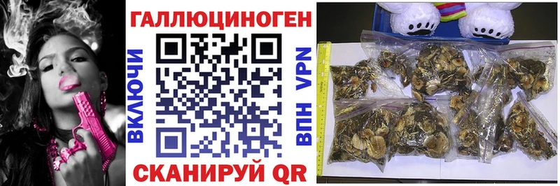 Галлюциногенные грибы мухоморы Благодарный